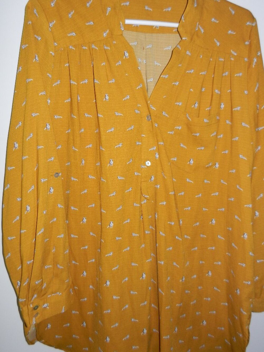 Blouse avec petit(s) raton(s) laveur(s)